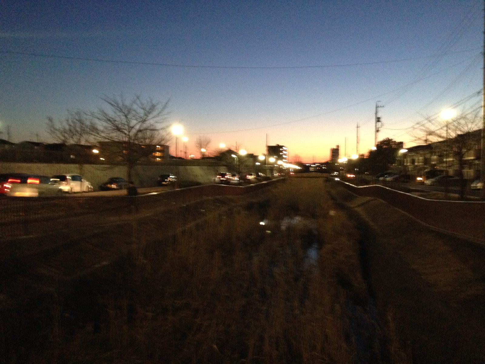 回復期に散歩した夕暮れの道。ぶれた写真に当時の身体の感覚が残っている